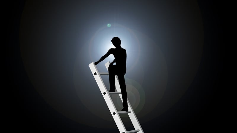 Climbing the Corporate Ladder